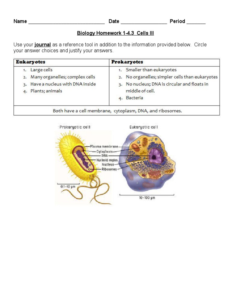 Biology Homework: Cell Structures & Types | PDF