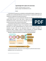 Fisiopatología de La Placa de Ateroma PDF