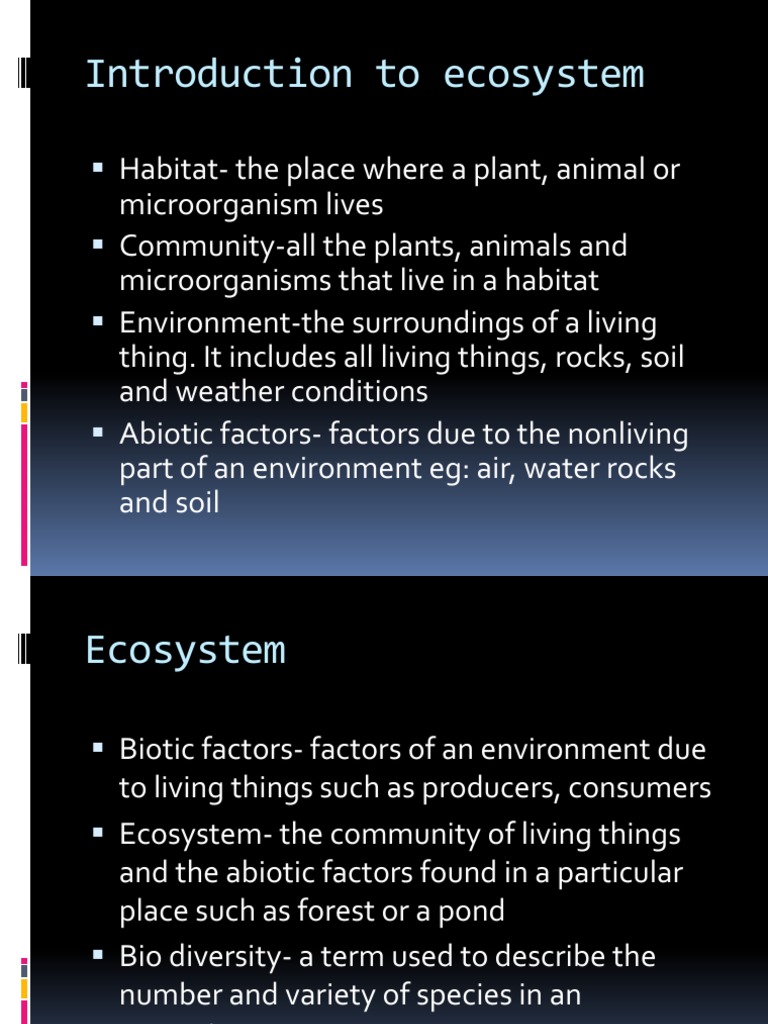 Introduction To Ecosystem | PDF | Herbivore | Ecosystem