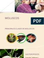 MOLUSCOS