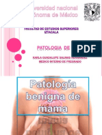 Patologia Benigna de Mama