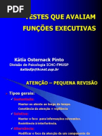 Esp Neuro 2005-Testes Função Executiva