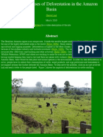 Impacts and Causes of Deforestation in The Amazon Basin
