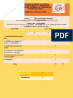 Formato Autoevaluacion 9 15 de 15