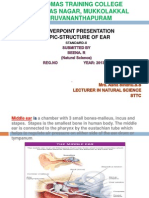 Power Point Presentation-Structure of Ear