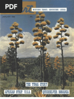 Download 196601 Desert Magazine 1966 January by dm1937 SN2402557 doc pdf