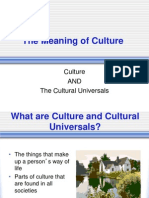 the meaning of culture powerpoint