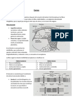 Carnes y Productos Cárnicos