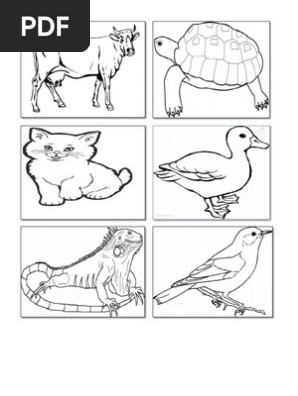 Hitamputih Haiwan Gambar Haiwan Pdf