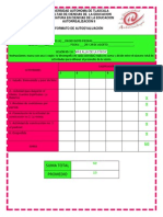 Formato Autoevaluacion 5 y 6 de 15