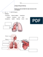 Take Home Anatomy Test