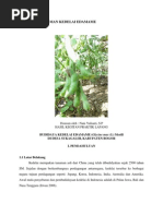 Download Budidaya Tanaman Kedelai Edamame by Prasmita Trishadewi SN240325896 doc pdf