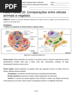 Aula 06 Aula Pratica