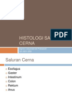 Histologi Saluran Cerna