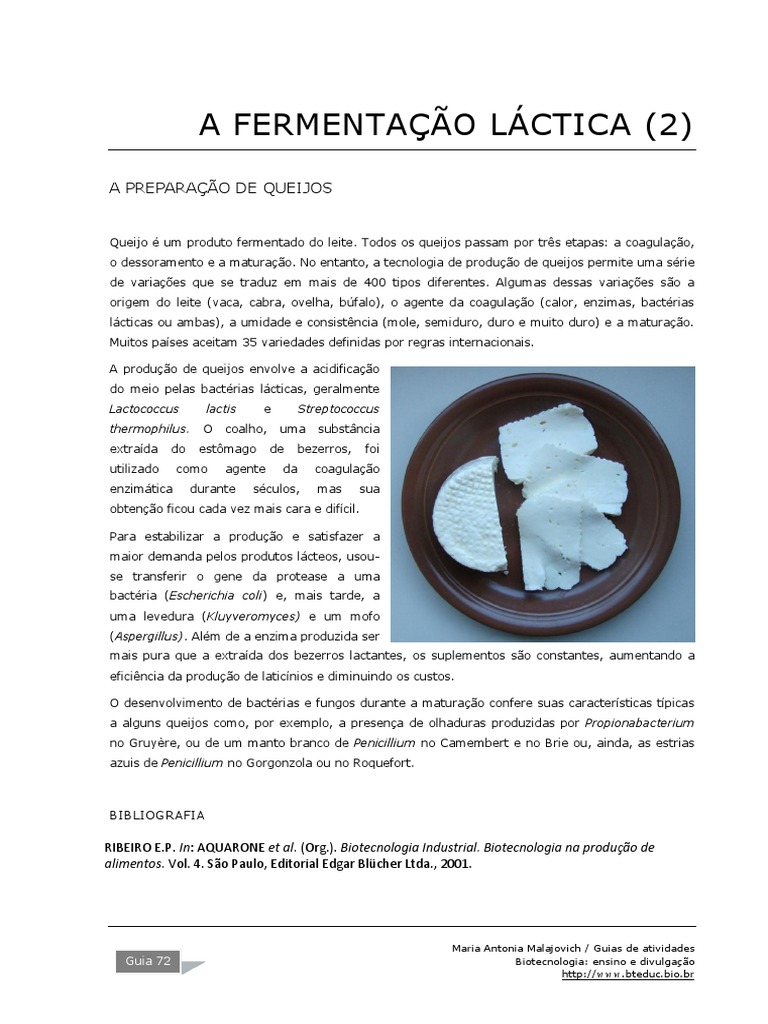 72 A Fermentacao Lactica 2 | PDF | Queijo | Lacticínios