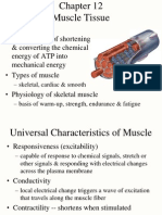 Muscle Tissue Structure and Contraction Mechanisms