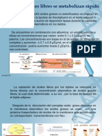 Bioquimica Exposicion