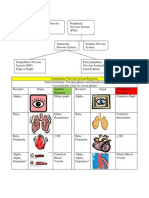 ANS Chart