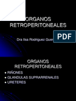 Organos Retroperitoneales