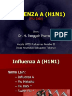 Penyuluhan Influenza A (h1n1) /flu Babi