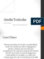 Atrofia Testicular