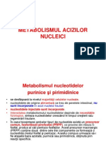 Metabolism Acizi Nucleici