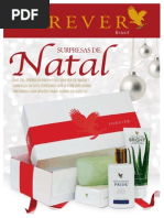 Detalhe FLP Revistavirtual Outubro09