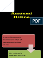 Anatomi Retina