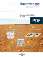 Biomassa Microbiana em Solos do Cerrado