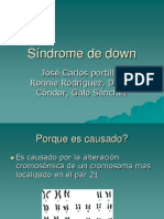 Síndrome de Down Biologia