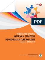 Ran Informasi Strategis PDF