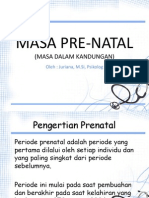 Masa Prenatal