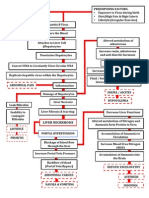 Liver Cirrhosis Pathophy Last