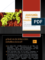 ANATOMIA Infecciones Estafilocócicas.pptx
