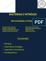 Bactérias e Petróleo