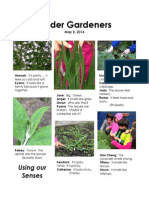 Errington - Documentation Panel - Garden 3