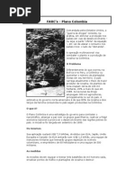FARC.doc