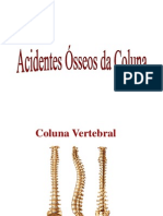 02-Ossos-da-Coluna-Vertebral.ppt