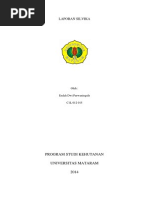 Download Laporan Silvika by Endah Dwi Purwaningsih SN240415294 doc pdf