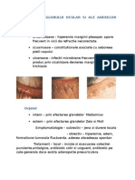 Inflamatiile Globului Ocular Si Ale Anexelor