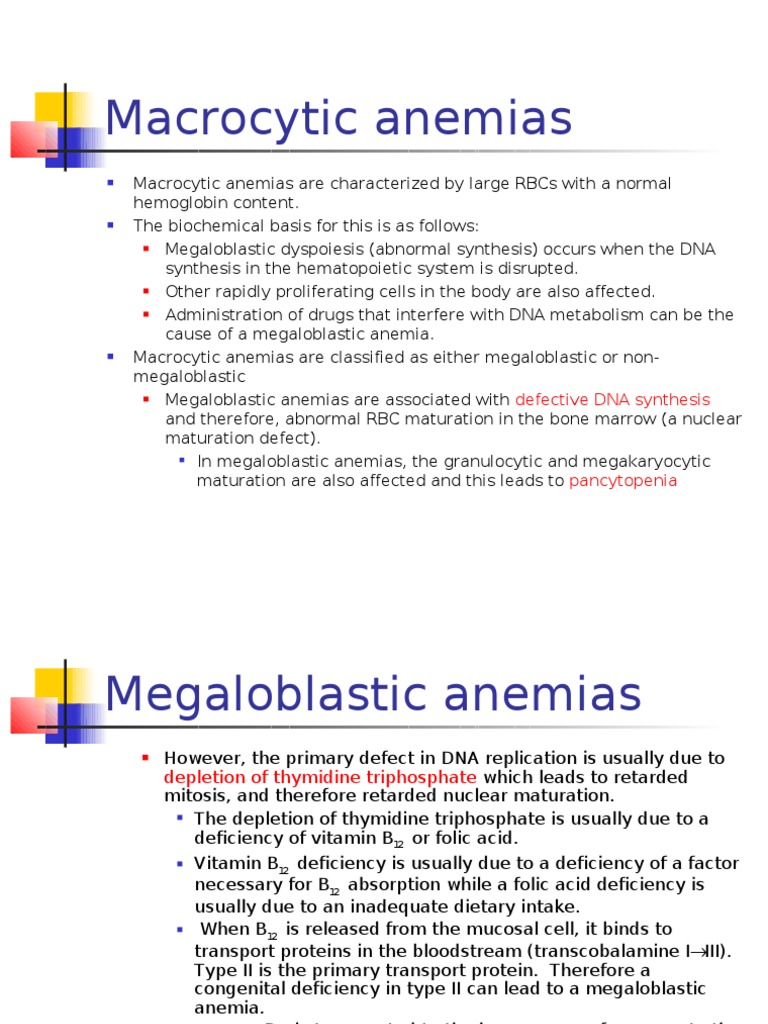 Macrocytic Anemias Defective DNA Synthesis PDF Anemia Vitamin B12