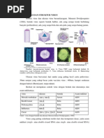 Download Morfologi Dan Struktur Seluler Virus by Tiara Dwi Nurmalita SN240433666 doc pdf