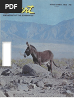 Download 197511 Desert Magazine 1975 November by dm1937 SN2404337 doc pdf
