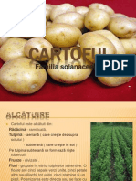 Cartoful2