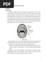 Download Makalah Anatomi Fisiologi Histologi Gigi Dan Mulut Dimas by dimasahadianto SN240436409 doc pdf