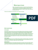 Different Types of Forests