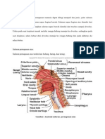 Anatomi Saluran Napas