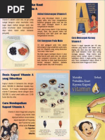 Leaflet ASI Ekslusif LEAFLET STUNTING pdf