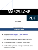 BRUCELLOSE