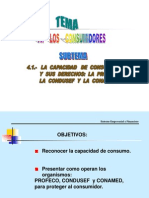 La Capacidad de Consumo1